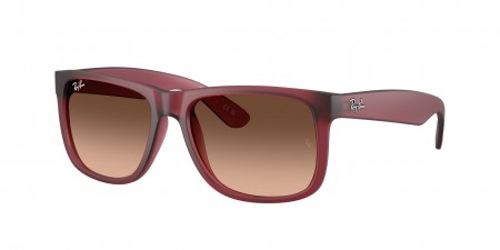 RB4165 Justin Sunglasses