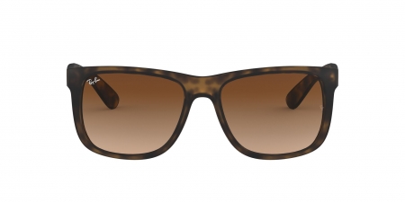 RB4165 Justin Sunglasses