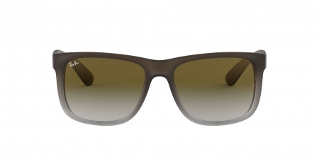 RB4165 Justin Sunglasses