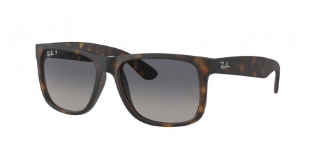 RB4165 Justin Sunglasses
