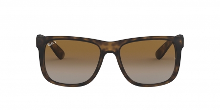 RB4165 Justin Sunglasses