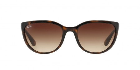 RB4165L Justin Sunglasses