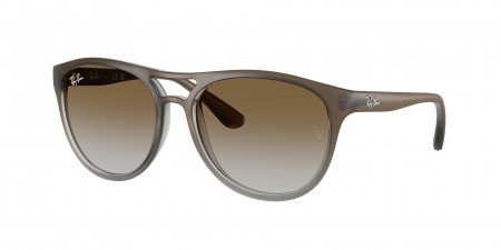 RB4170 Brad Sunglasses