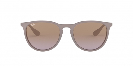RB4171 Erika Sunglasses