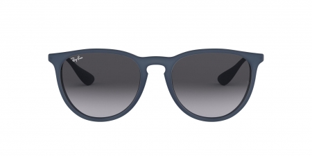 RB4171 Erika Sunglasses