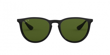 RB4171 Erika Sunglasses