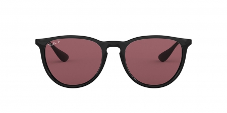 RB4171 Erika Sunglasses