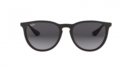 RB4171 Erika Sunglasses