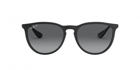 RB4171 Erika Sunglasses