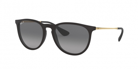 RB4171 Erika Sunglasses