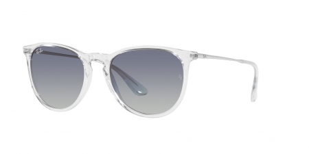 RB4171 Erika Sunglasses
