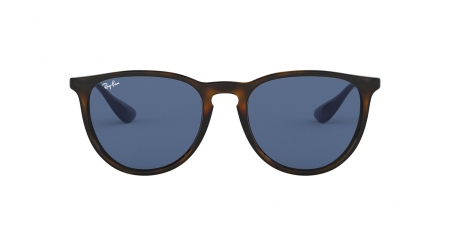 RB4171 Erika Sunglasses