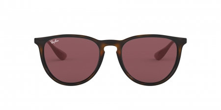 RB4171 Erika Sunglasses