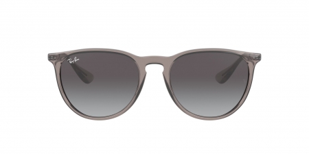 RB4171 Erika Sunglasses
