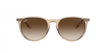 RB4171 Erika Sunglasses