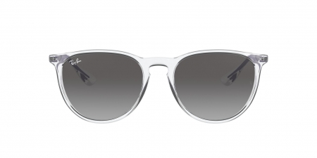 RB4171 Erika Sunglasses