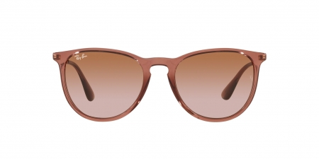 RB4171 Erika Sunglasses
