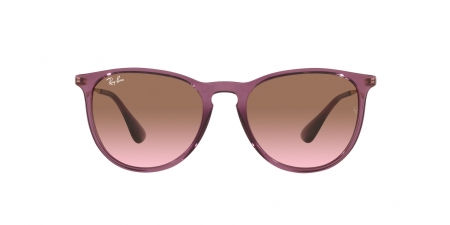 RB4171 Erika Sunglasses