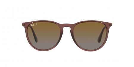 RB4171 Erika Sunglasses