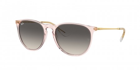 RB4171 Erika Sunglasses
