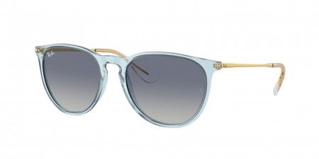 RB4171 Erika Sunglasses