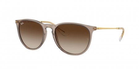 RB4171 Erika Sunglasses
