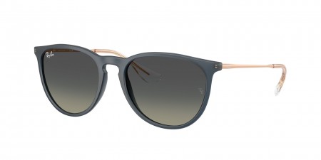 RB4171 Erika Sunglasses