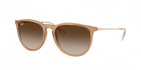 RB4171 Erika Sunglasses