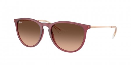 RB4171 Erika Sunglasses