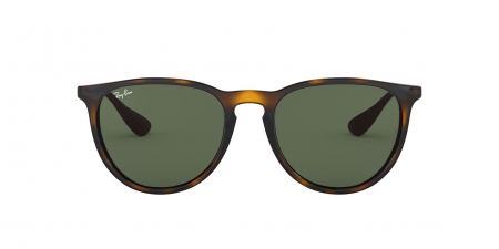 RB4171 Erika Sunglasses