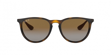 RB4171 Erika Sunglasses