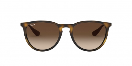 RB4171 Erika Sunglasses