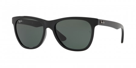 RB4184 N/A Sunglasses