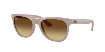 RB4184 N/A Sunglasses