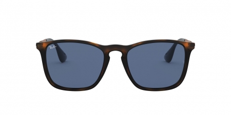RB4187 Chris Sunglasses