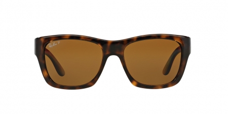 RB4194 Rb4194 Sunglasses