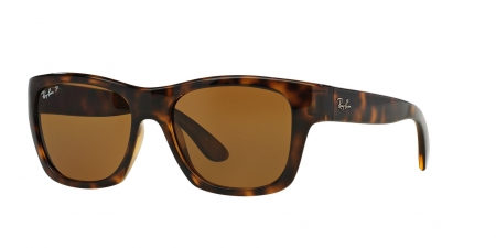RB4194 Rb4194 Sunglasses