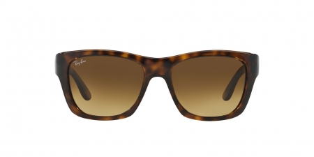 RB4194 Rb4194 Sunglasses