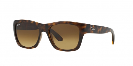 RB4194 Rb4194 Sunglasses