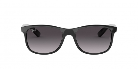 RB4202 Andy Sunglasses