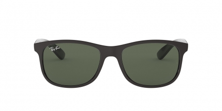 RB4202 Andy Sunglasses
