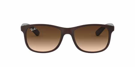 RB4202 Andy Sunglasses