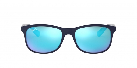 RB4202 Andy Sunglasses