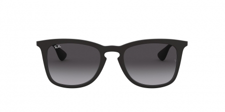 RB4221 Sunglasses