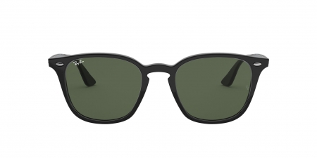 RB4258F Sunglasses