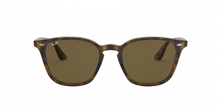 RB4258F Sunglasses