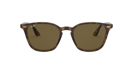 RB4258 Sunglasses