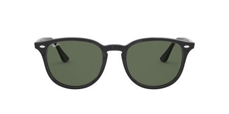 RB4259F Sunglasses