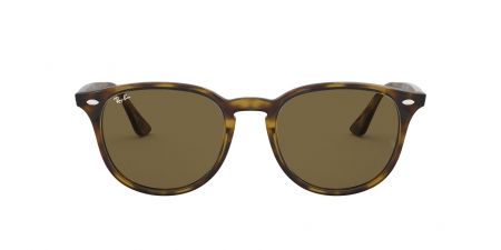 RB4259F Sunglasses