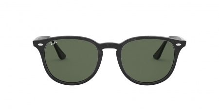 RB4259 Sunglasses